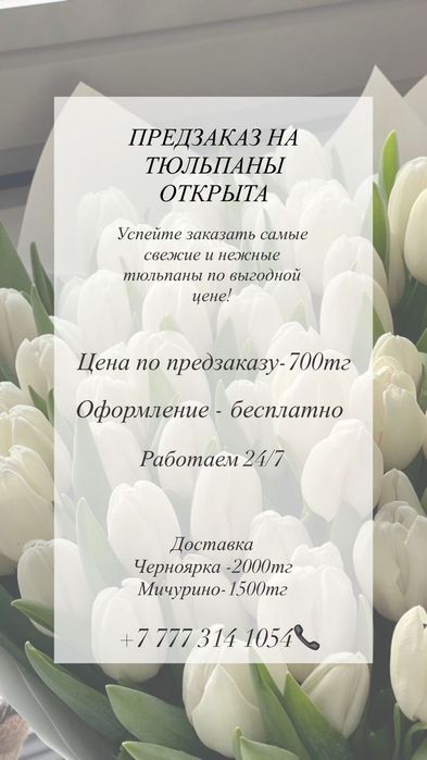 Предзаказ на тюльпаны открытата