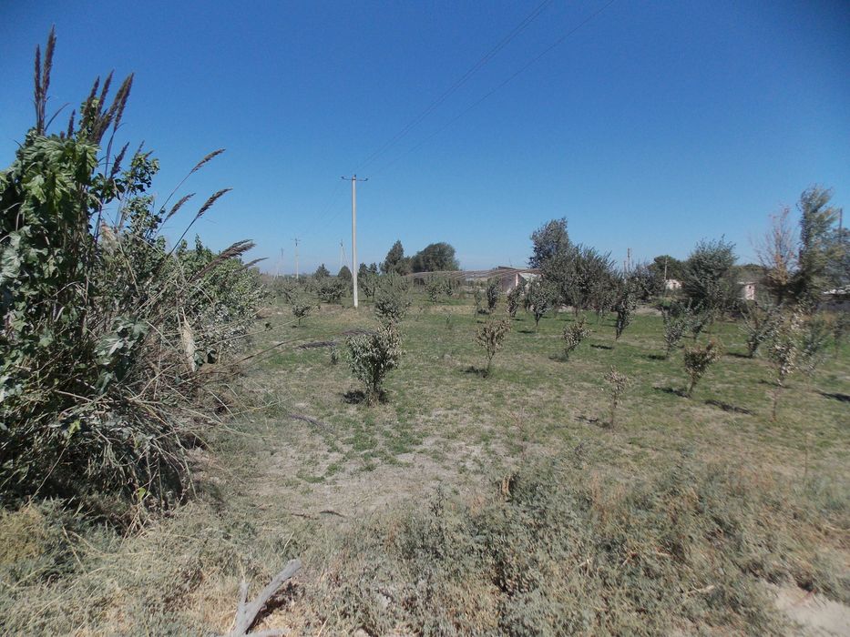 Ер сотилади. Когон тум,БАХОВУДДИН НАКШБАНД,Киракашхона кишлоги 50сотик