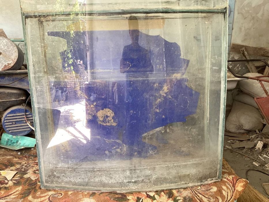 Аквариум       .