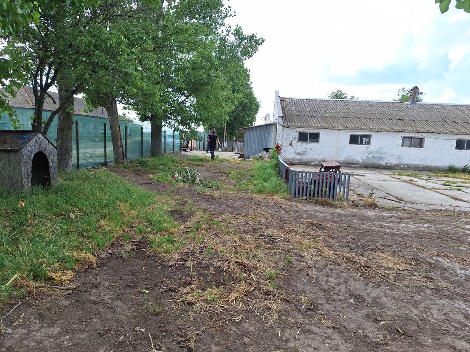 Vand ferma animale accept si variante sau rate