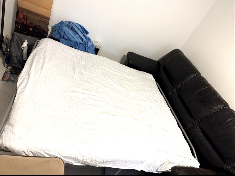 Canapea extensibila din piele