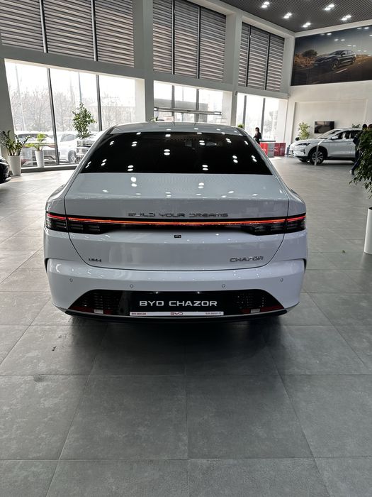 BYD Chazor Champion 55km Luxe