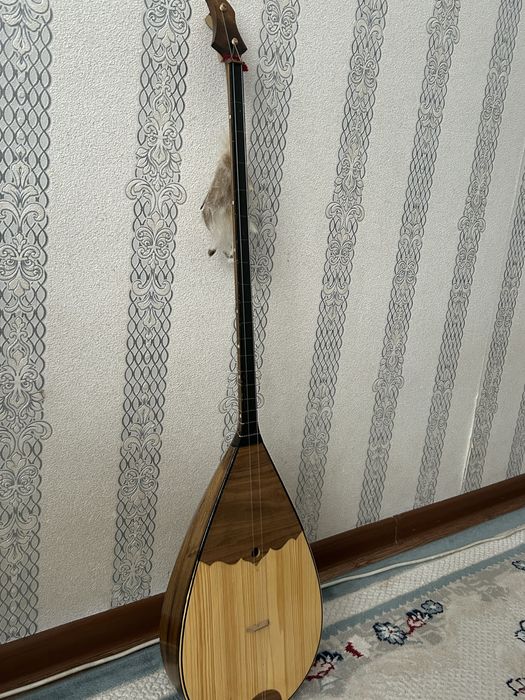 Домбра чехолмен бірге