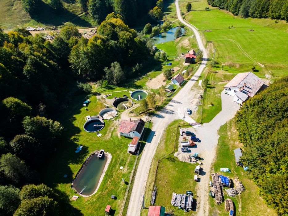 Case teren 2,5ha, restaurant,pensiune investiție,lac cu pesti