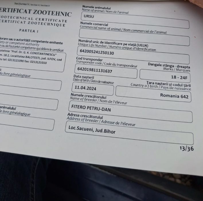 De vanzare manz 2 ani!