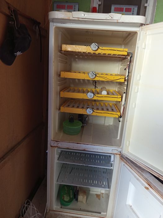 Инкубатор для яицо