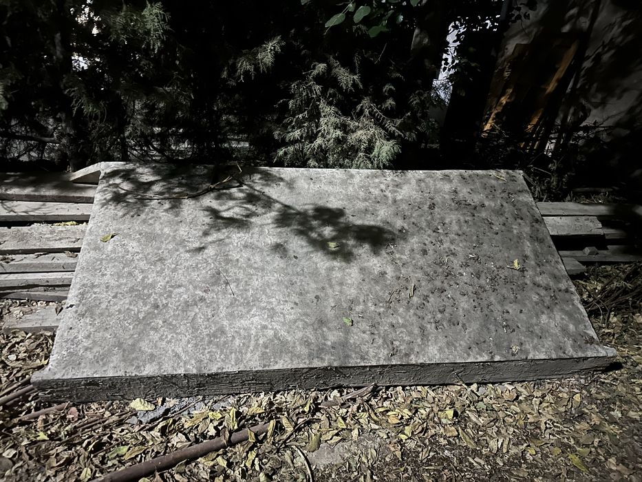 Баек качественный большой