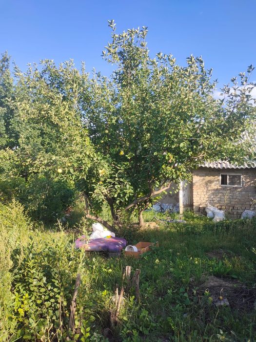 Сдам дачу с последующим выкупом