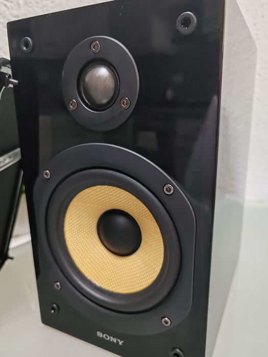 Boxe Hi-Fi Sony SS-CG1 – Sunet clar și design iconic