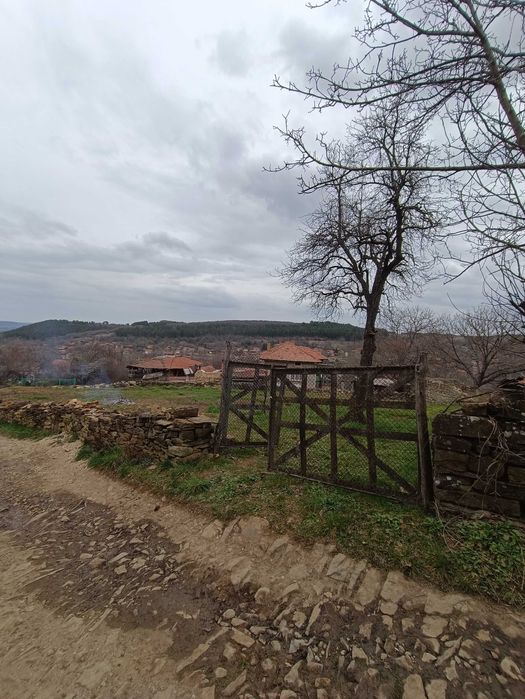 Парцел за продан в с.Крушево