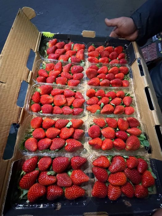 Свежая крупная клубника