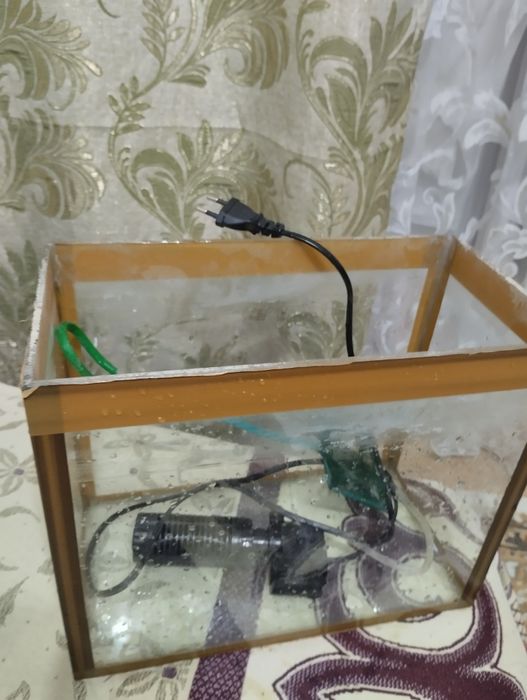 Аквариум в хорошем состоянии