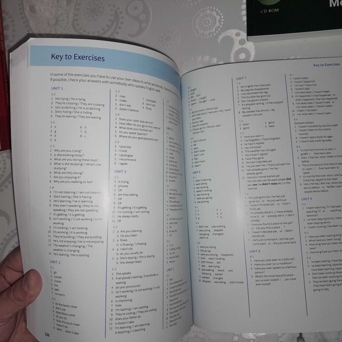 English grammar in use  Essential grammar in use
