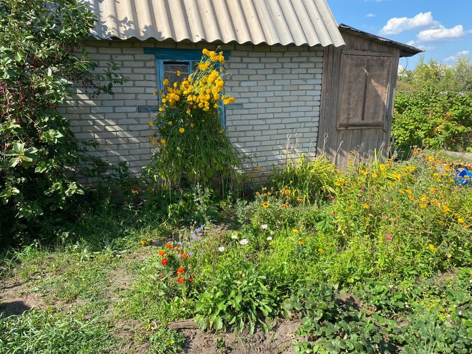 Продам дачный участок