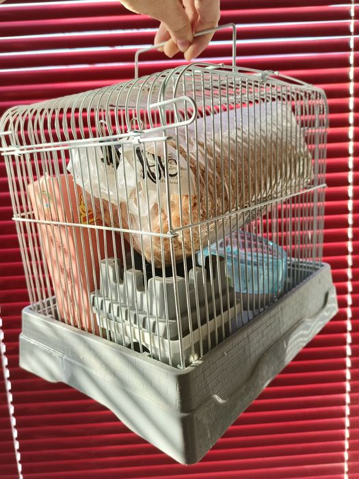 Клетка для грызунов