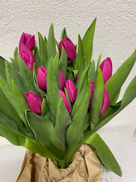 Тюлпаны красивые