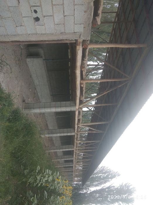 30 та корамол бокишга мулжалланган, кичик ферма сотилади