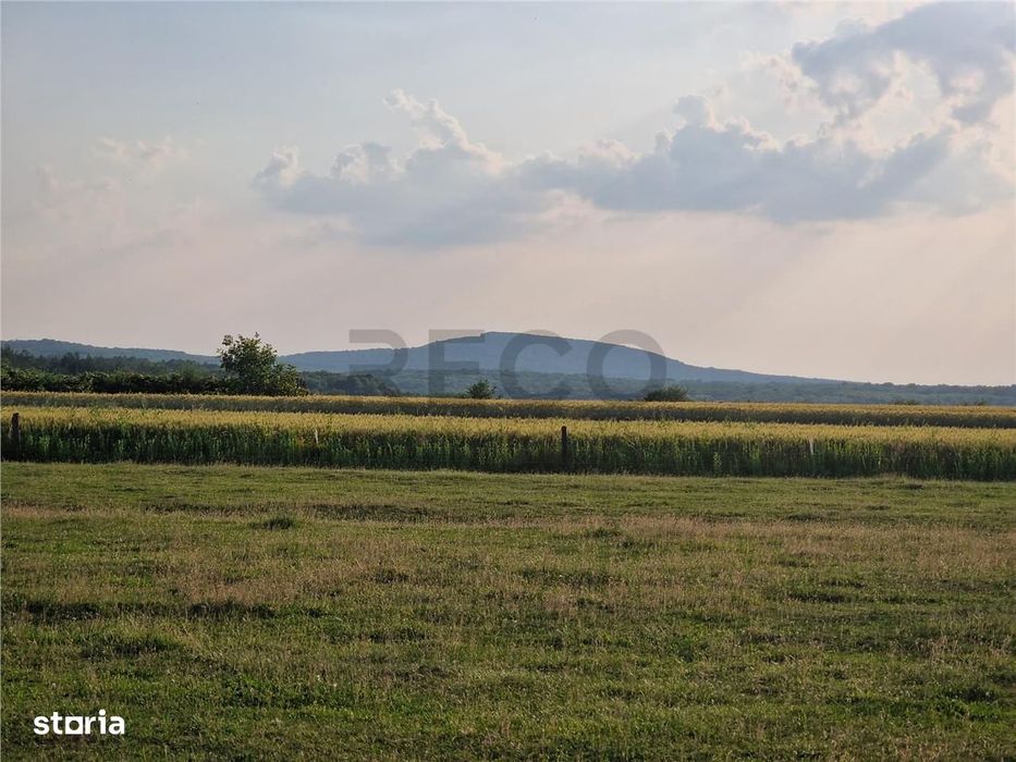 RECO parcele in Felcheriu