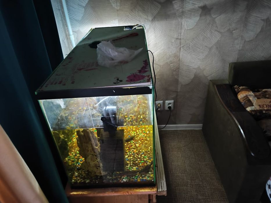 Аквармистика  рыбки