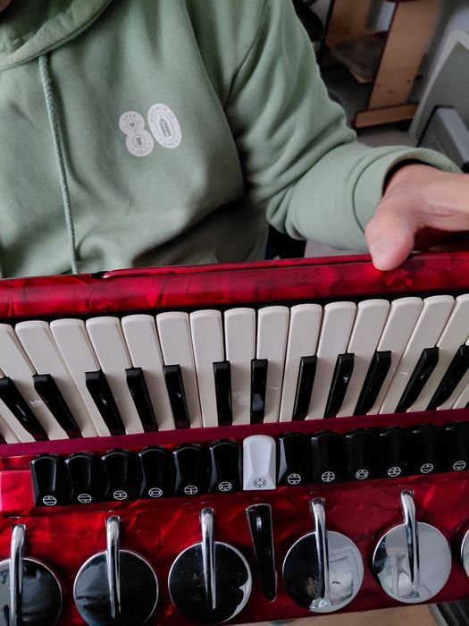 Vand Acordeon Parrot gama profesionala
