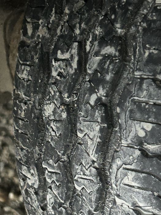 Remorca Platforma O2 Eduards