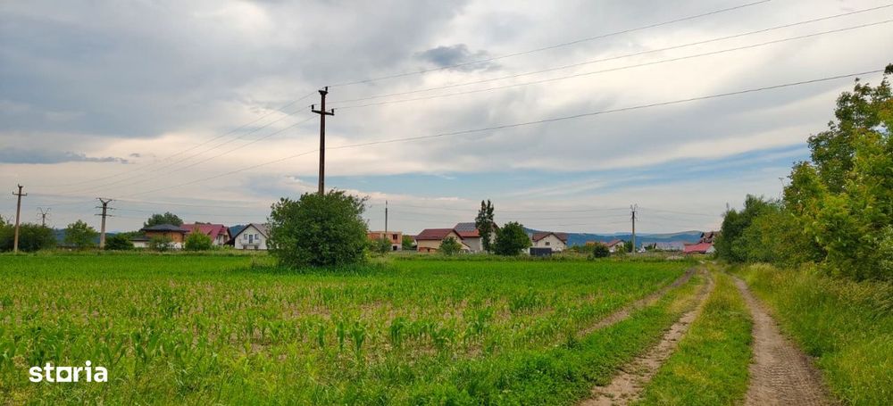 Teren cu sura in spatele caselor de pe str Andrei Saguna