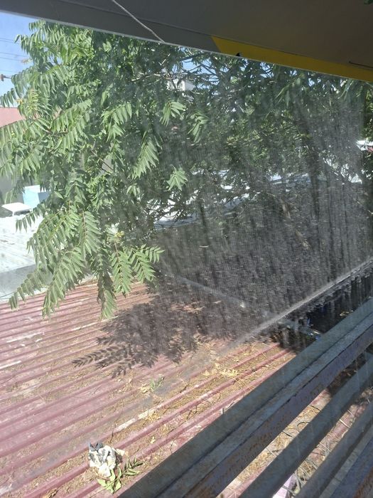 Продается стекло