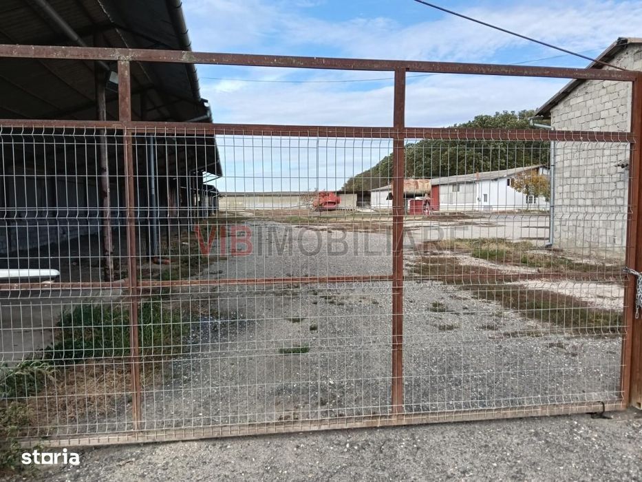 Ferma Agricolă 1.350 HA – Grad de Comasare 96–97%, Județul Arad
