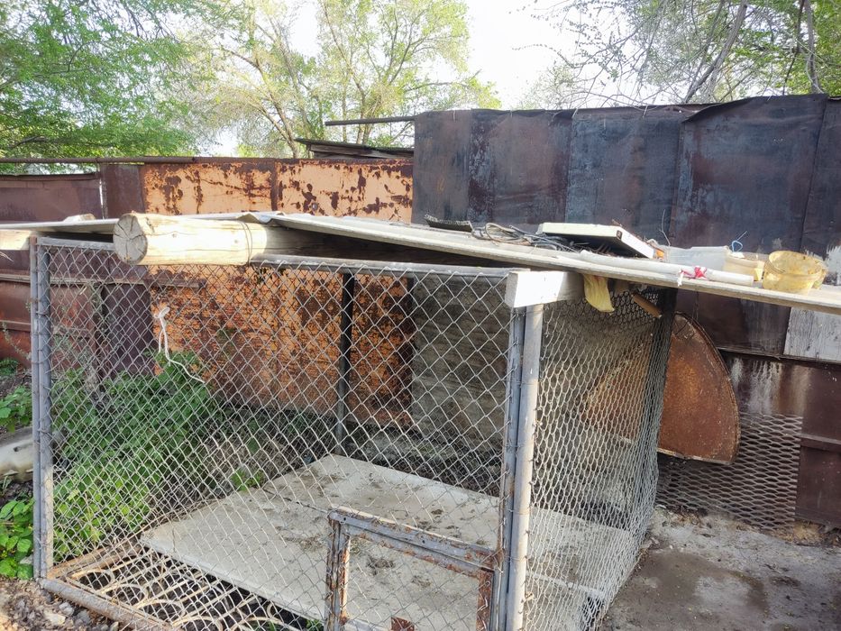 Вольер для собаки