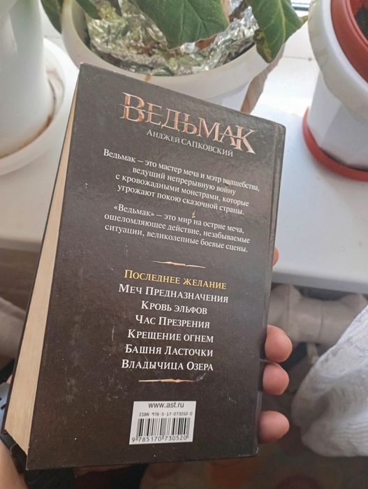 Книга ведьмак. Последнее желание