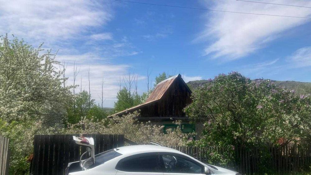 Дача с домиком в обществе природа