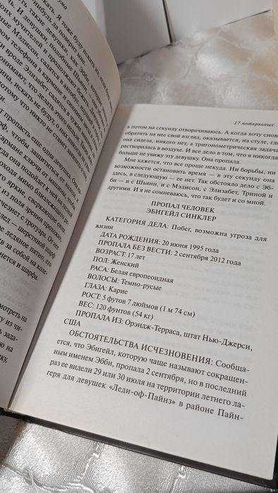 Книга "17 потерянных" триллер