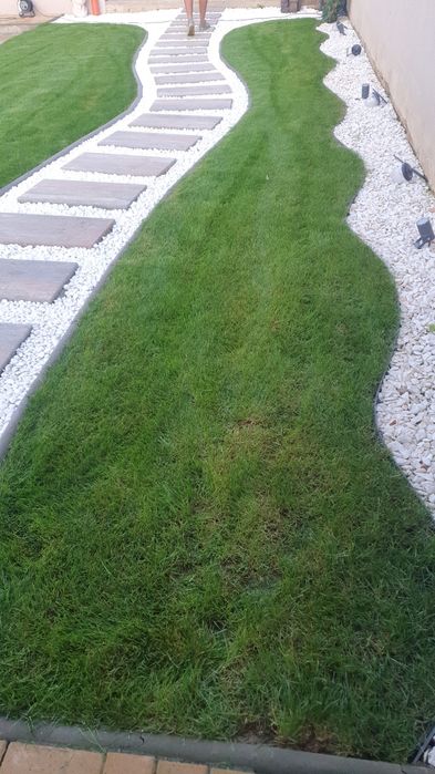 Gazon rulou 28 lei transport pana la usa