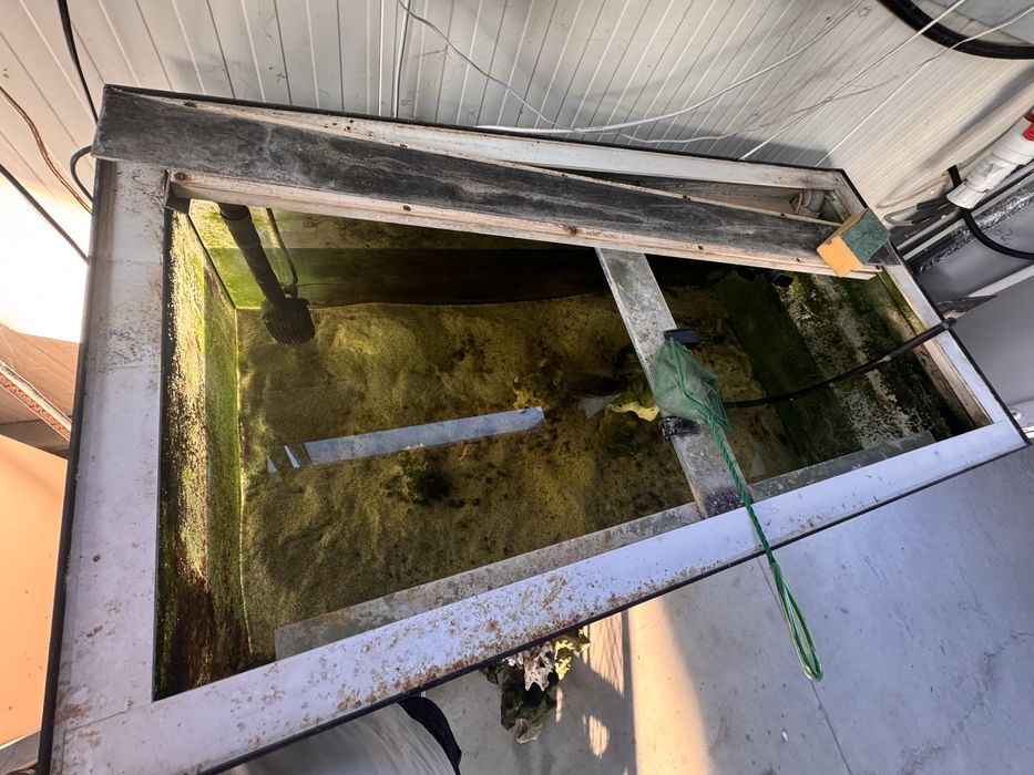 Fluval FX6 Mobilier Roca si accesorii multiple