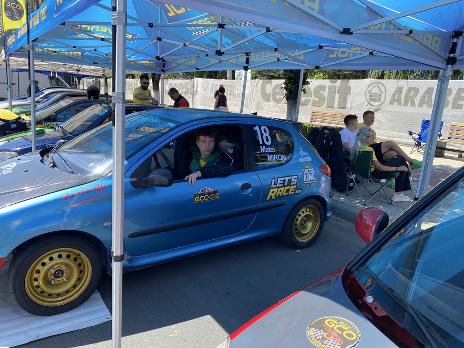 Peugeot 206 destinat competitiilor sportive
