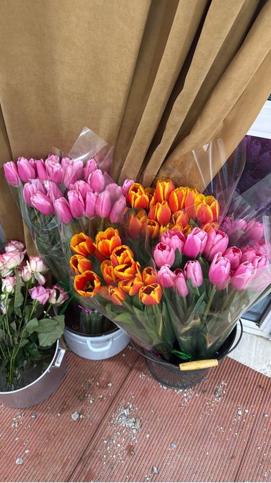 Продам свежие тюльпаны