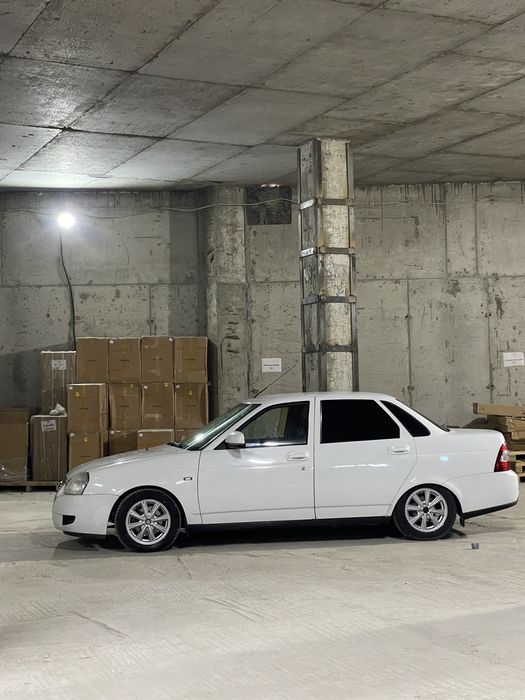 Артика зима лето и обмен