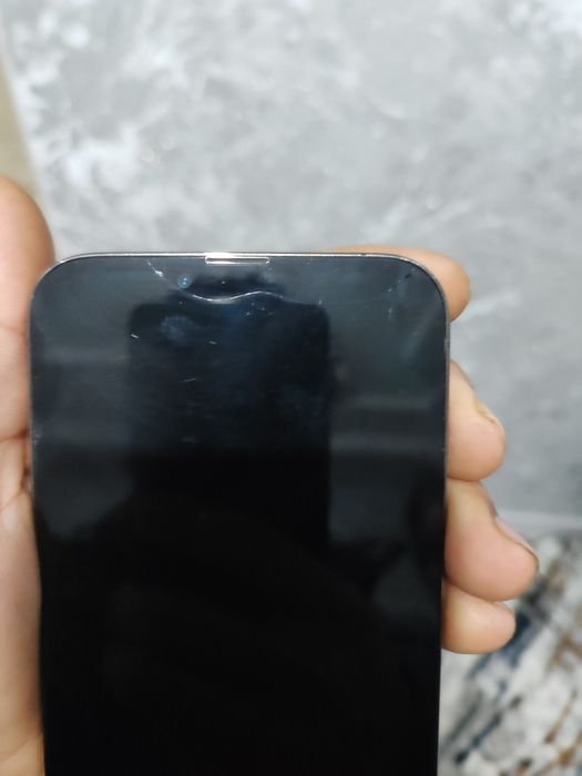 iPhone 13 Pro Max 1TB