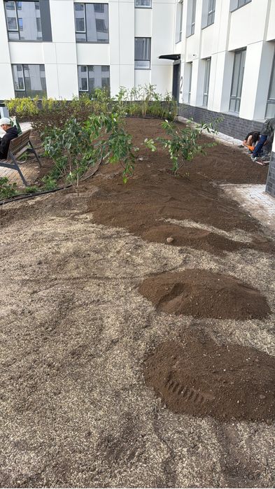 Посев газона от 1500