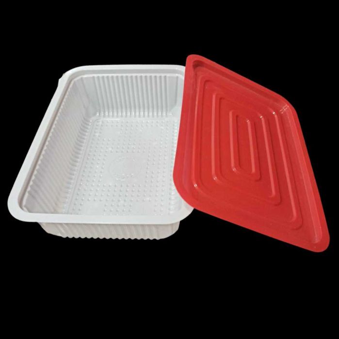 Issiq ovqat uchun koteyner, 700 ml