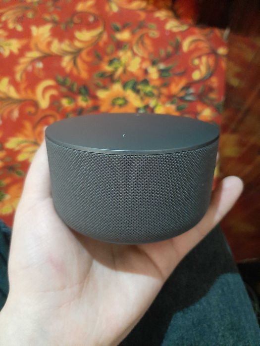 Yandex stansiya Mini 3