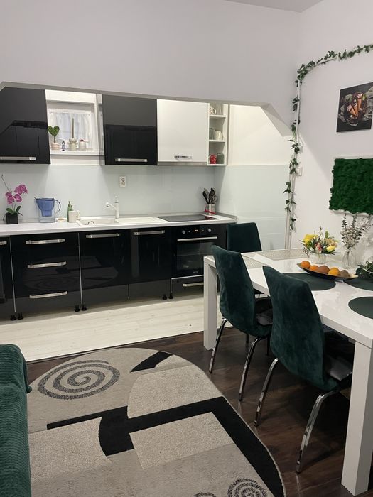 Apartament spațios (82 mp) la casă – Eficient si linistit