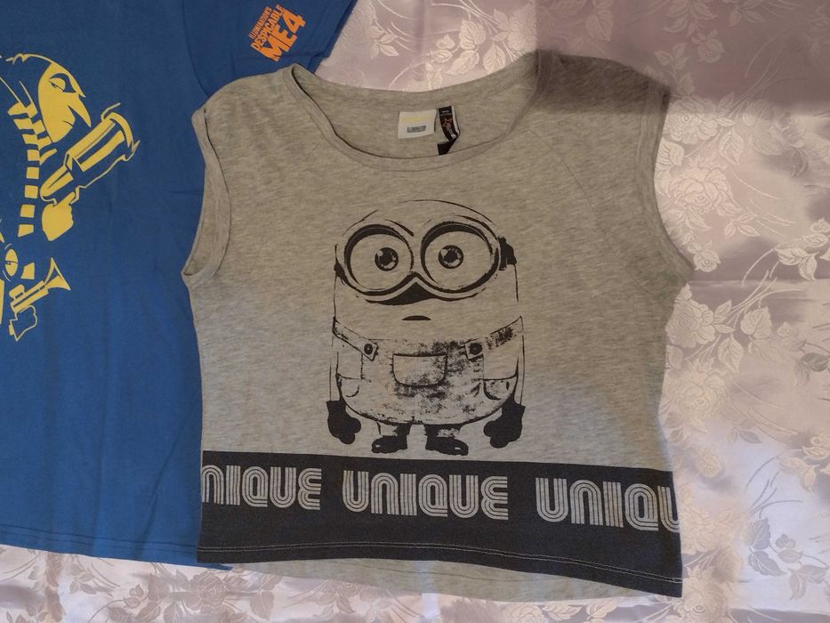 За фенове на "Аз, Проклетникът" и Миньоните