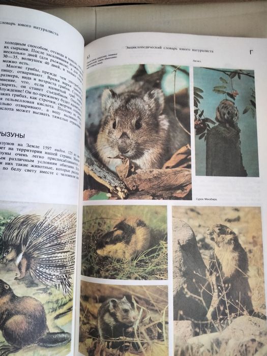 энциклопедические словари