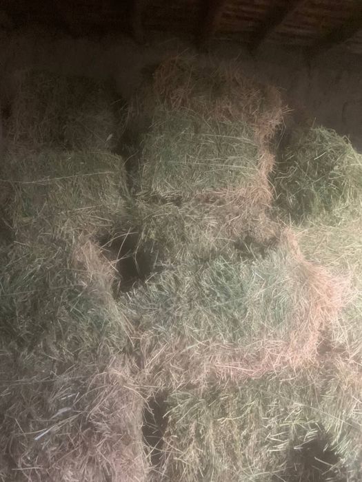 Beda pres 40ming sumdan