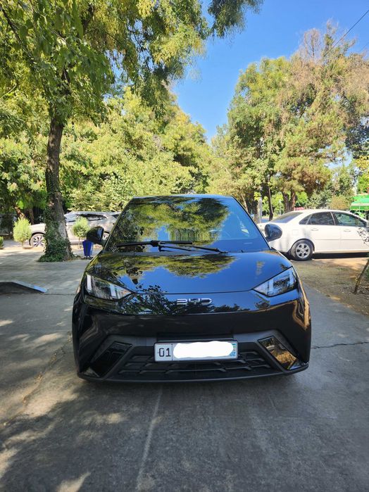 BYD Seagull EV 2024