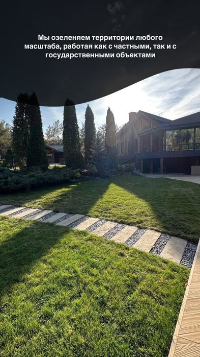 Газон посевной и рулонный