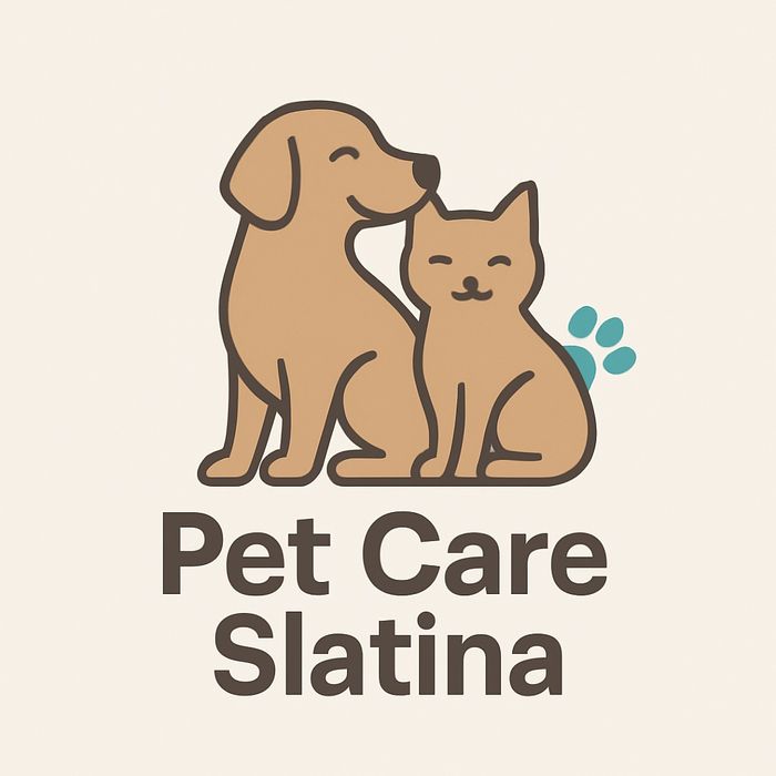 Dresaj Canin de toate varstele - Slatina, Olt