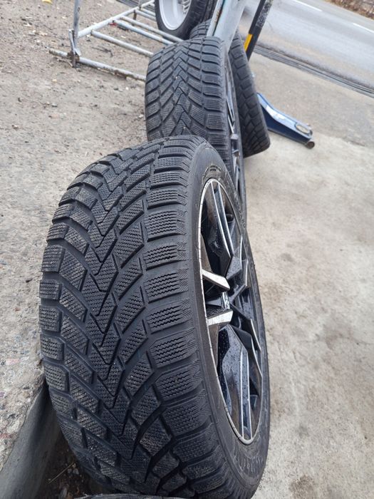 Tayotta diska balon arginal