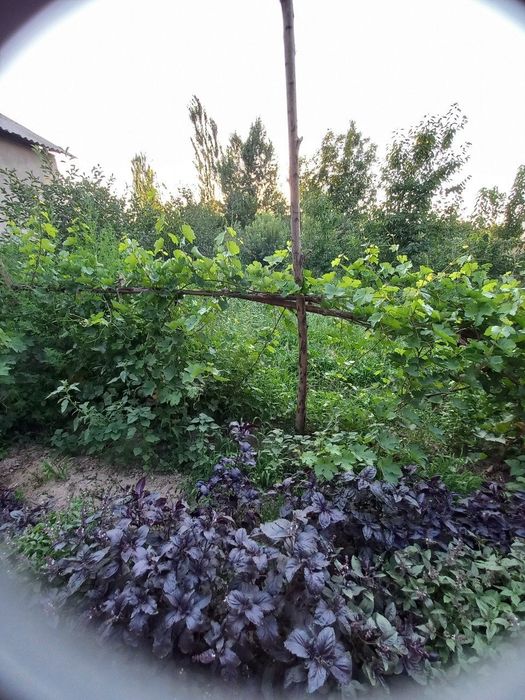 5 соток участок сотилади